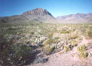 dsert  la montagne