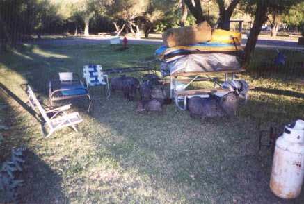 BEWARE OF THE JAVELINAS